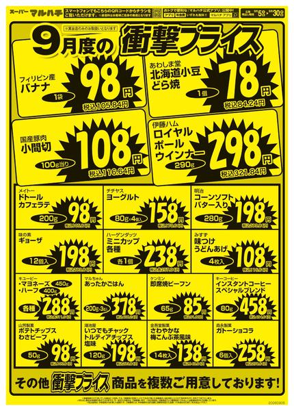 2026年9月5日〜30日まで衝撃プライス！-2