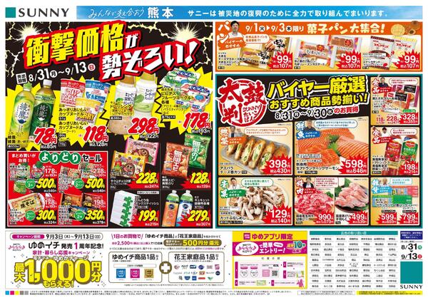 8/31（月）-9/13（日）-2