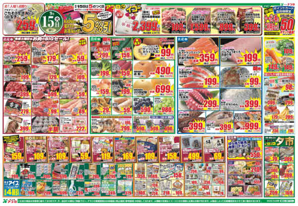 2026年9月15日〜16日までnew-1