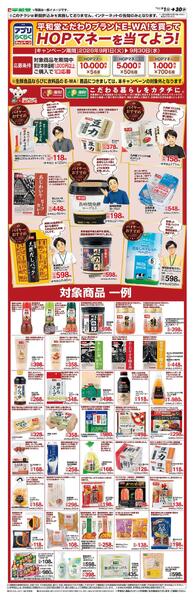 WEB限定 9/1（火）～E-WAを買ってHOPマネーを当てよう-1