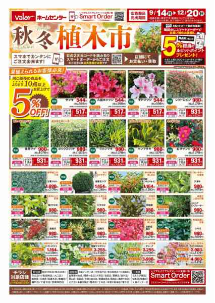 2026年9月14日〜12月20日まで秋冬 植木市-1