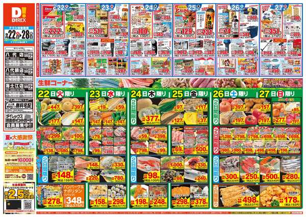 ダイレックス八代鏡店のチラシ｜最新の特売・セール情報【チラシガイド】