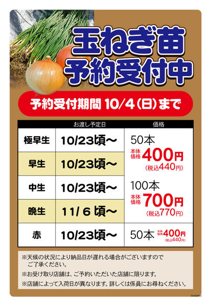 2026年9月4日〜10月4日まで【予約受付中】玉ねぎ苗-1