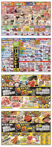 最新チラシ-1
