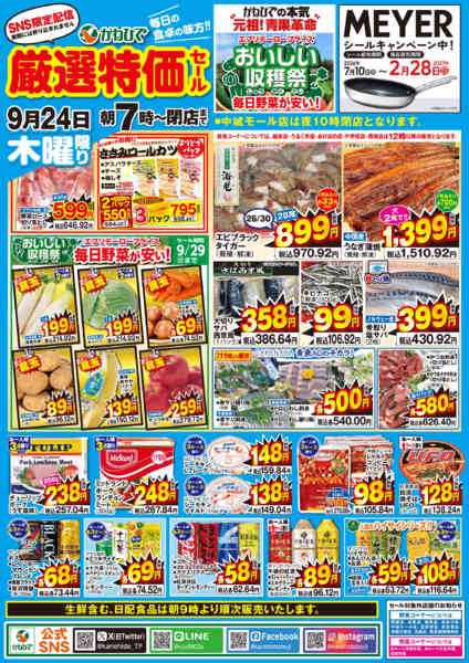 2026年9月24日限りSNS限定！厳選特価セール！new-1