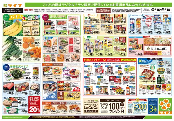 9/16号　とことん旬！きのこnew-2