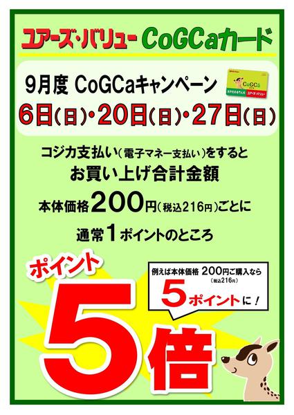 2026年9月1日〜30日まで-3