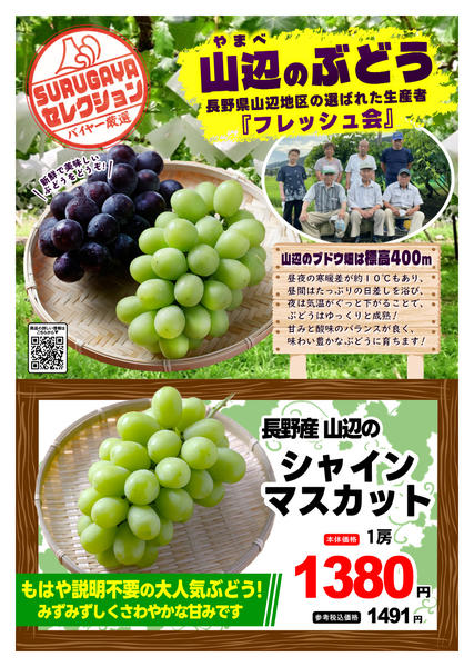 2026年9月1日〜30日までＳＵＲＵＧＡＹＡセレクション【青果】-1
