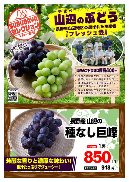 2026年9月1日〜30日までＳＵＲＵＧＡＹＡセレクション【青果】-2