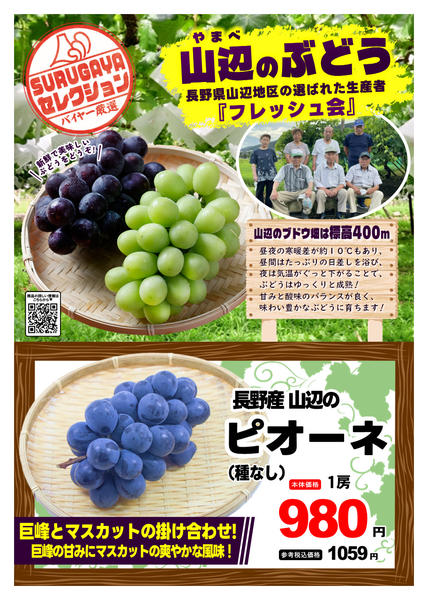 2026年9月1日〜30日までＳＵＲＵＧＡＹＡセレクション【青果】-3