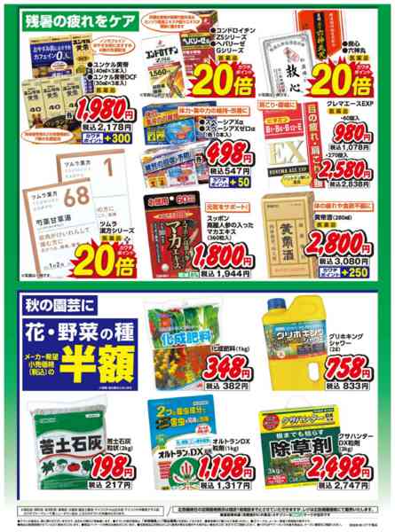 2026年9月1日〜15日までWEB限定お買得チラシ！-2