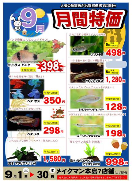 2026年9月1日〜30日まで9月熱帯魚月間-1