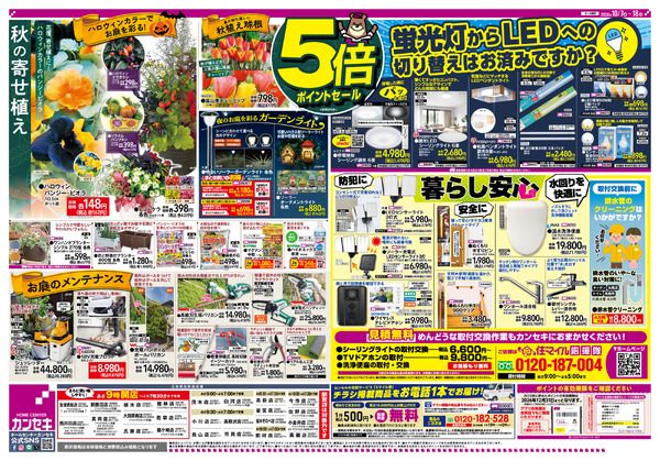 秋の5倍ポイントセール【駅東店対象外】-2