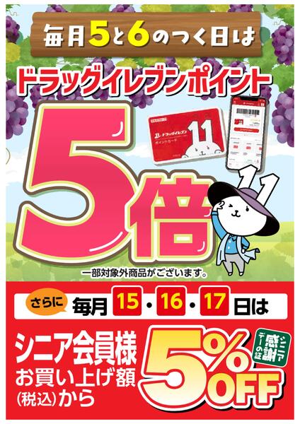 5と6のつく日はドラッグイレブンポイント5倍new-1