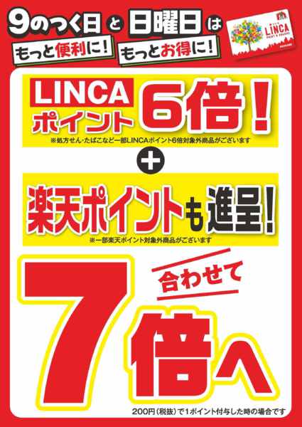2026年10月11日限り本日ポイントデーnew-1