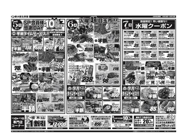 最新チラシnew-2