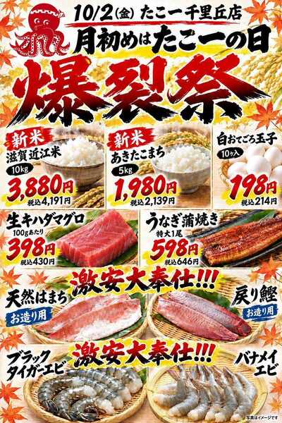 たこ一new-2
