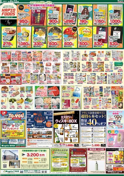 最新チラシ-2