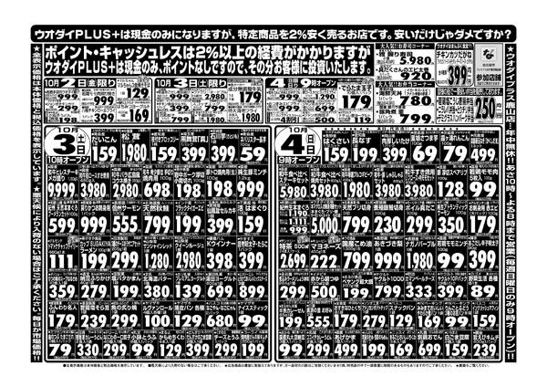 最新チラシnew-1