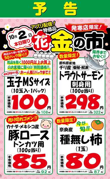 最新チラシ-2