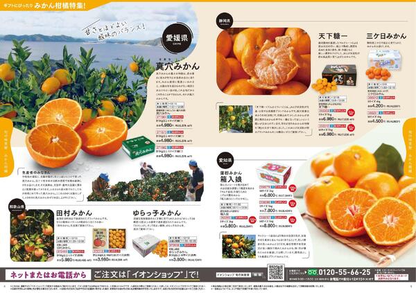 イオンショップ 旬の味覚便new-3