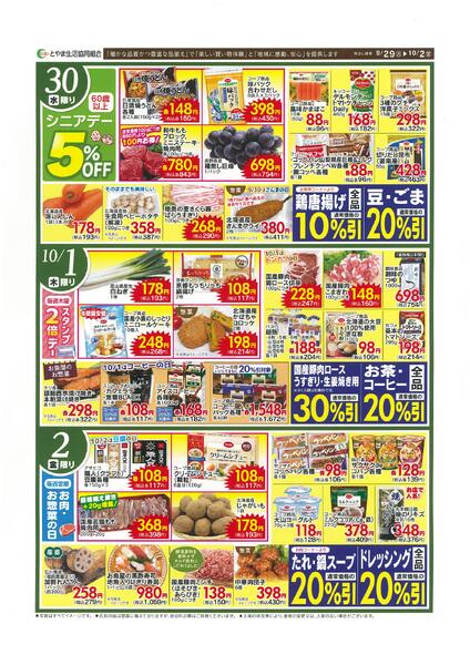 最新チラシ-2