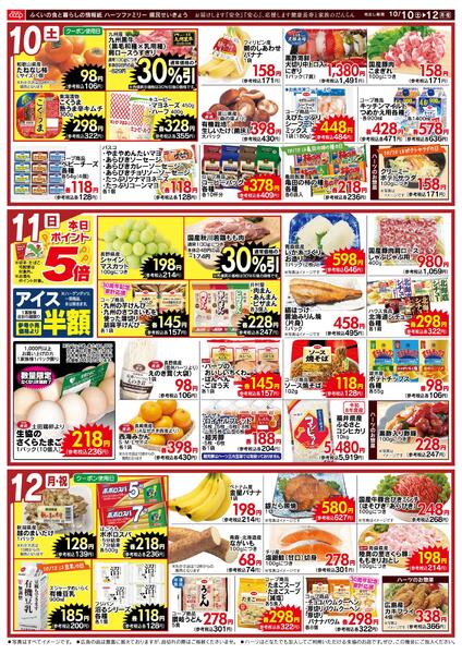 最新チラシnew-2