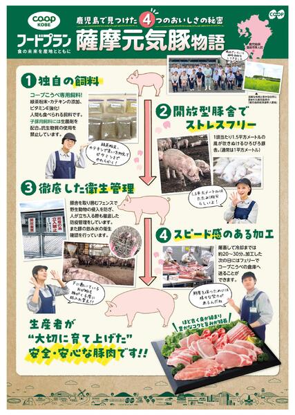 フードプラン 薩摩元気豚WEBnew-1