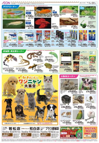 １０月１日（木）～１０月３１日（土）-2