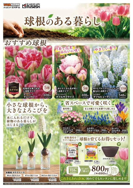 秋植え球根9月26日～10月4日-1
