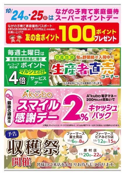 限定チラシ-2