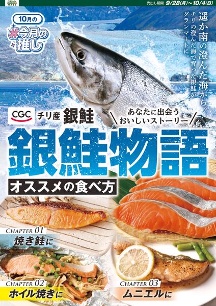今日のチラシ-3