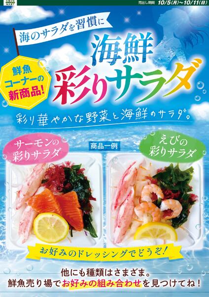 今日のチラシnew-1