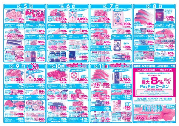 最新チラシ-2