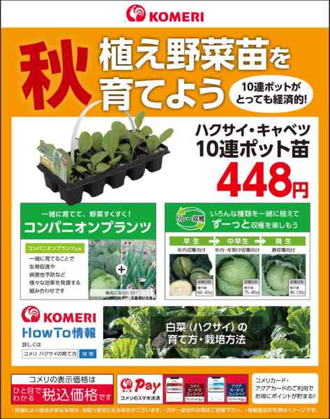 2026年9月18日〜10月31日まで秋植え野菜苗を育てよう-1