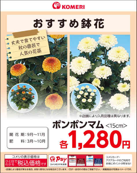 2026年9月28日〜11月30日までエアコン早期購入ポイントキャンペーン-1