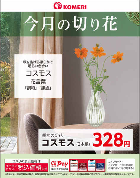 2026年10月14日〜31日まで今月の切り花new-1