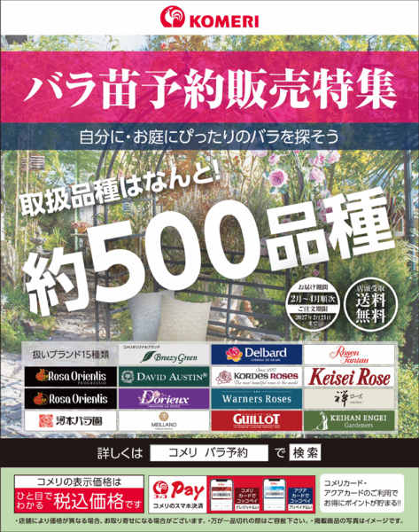 2026年10月19日〜2027年1月31日までバラ苗予約販売特集new-1