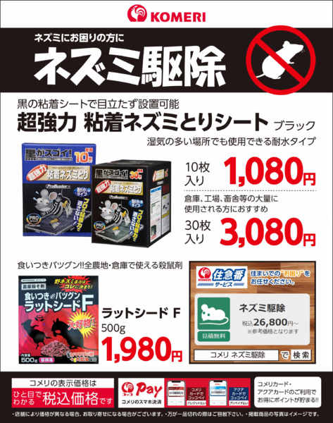 2026年10月27日〜11月30日までネズミ駆除-1