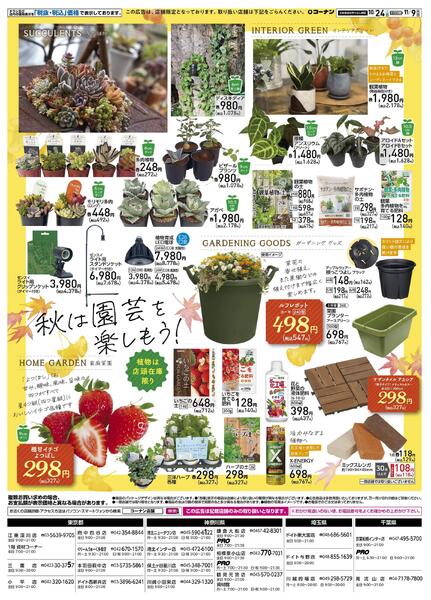 10月24日～11月9日　オータムフェア-2
