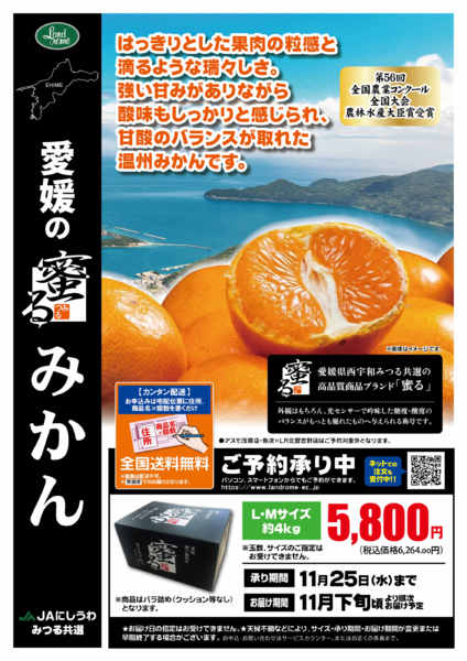 2026年10月1日〜11月25日まで🍊愛媛の蜜るみかん🍊ご予約受付中！new-1