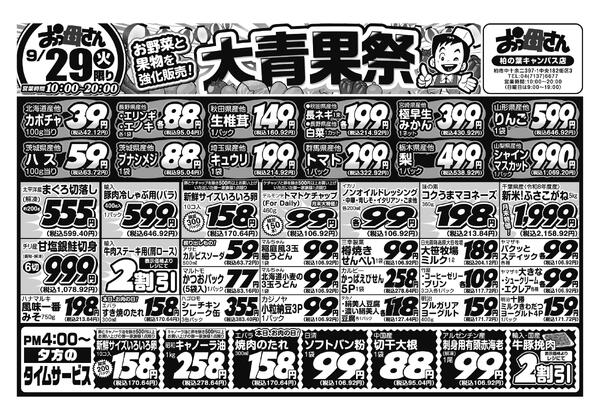レギュラーチラシ-1