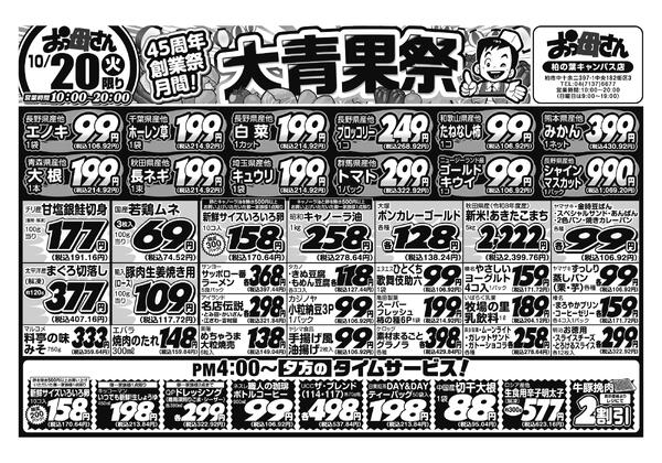 レギュラーチラシ-1