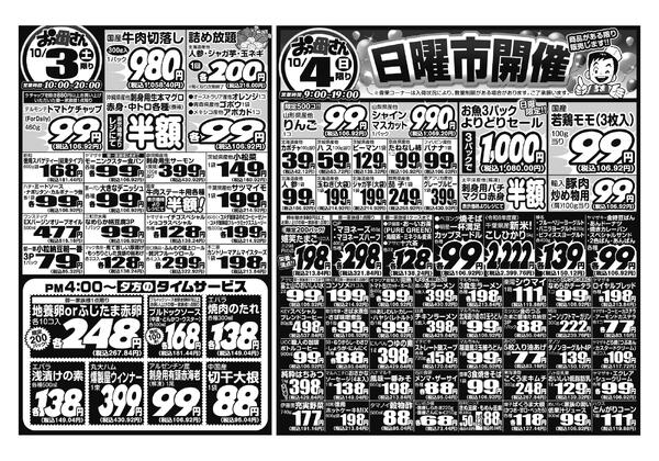 レギュラーチラシnew-2