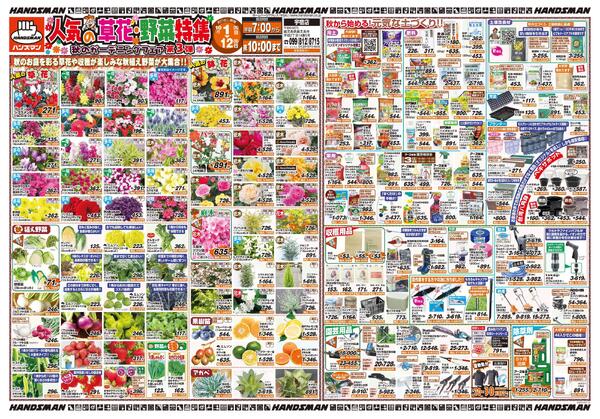 人気の草花・野菜特集　秋のガーデニングフェア第3弾-1