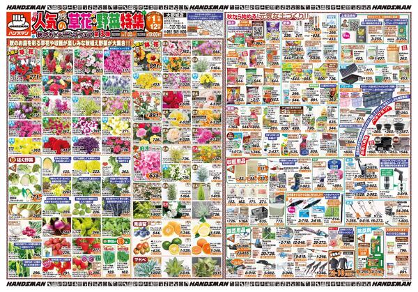 人気の草花・野菜特集　秋のガーデニングフェア第3弾-1