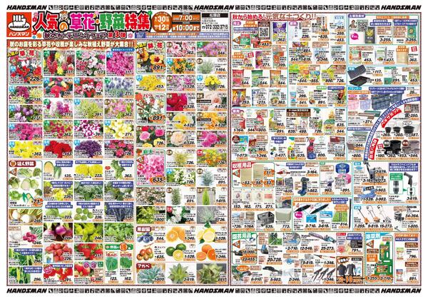 人気の草花・野菜特集　秋のガーデニングフェア第3弾-1
