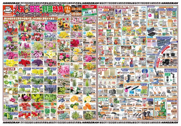 人気の草花・野菜特集　秋のガーデニングフェア第3弾new-1