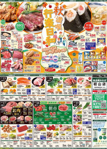 レギュラーチラシ-1
