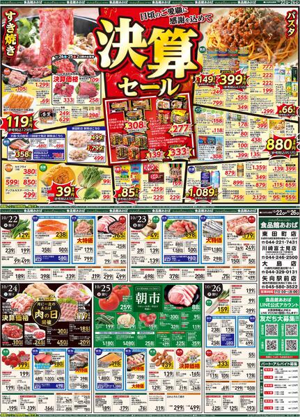 レギュラーチラシ-1